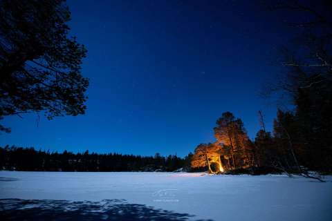 Furubål ved islagt vann i vinterskogen